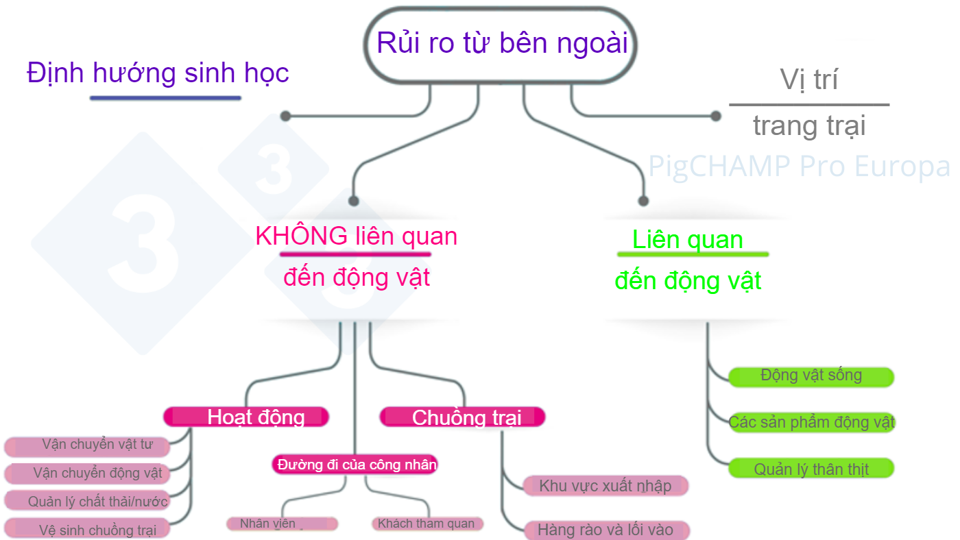 Figure 2. Diagram to analyze the main external risk factors during the farm visit.